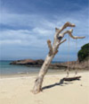 เขาหน้ายักษ์: Snorkeling & Beach Day Tour of Jc.Tour